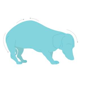 Hunched position of pain