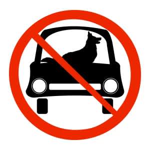 As an owner, try to be aware of the symptoms of heat stroke and watch out for them!