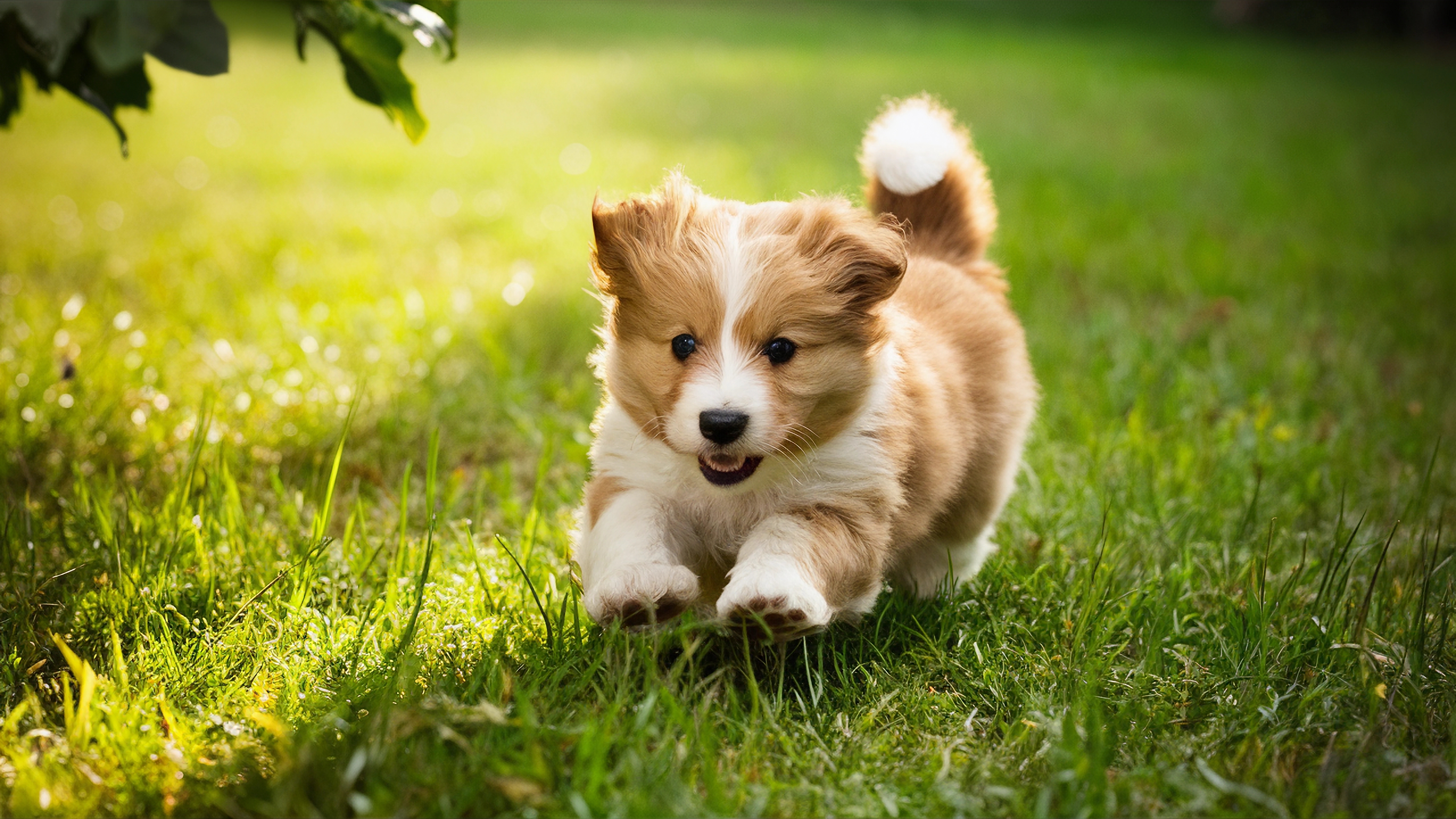 shutterstock 2504078017 (1)
