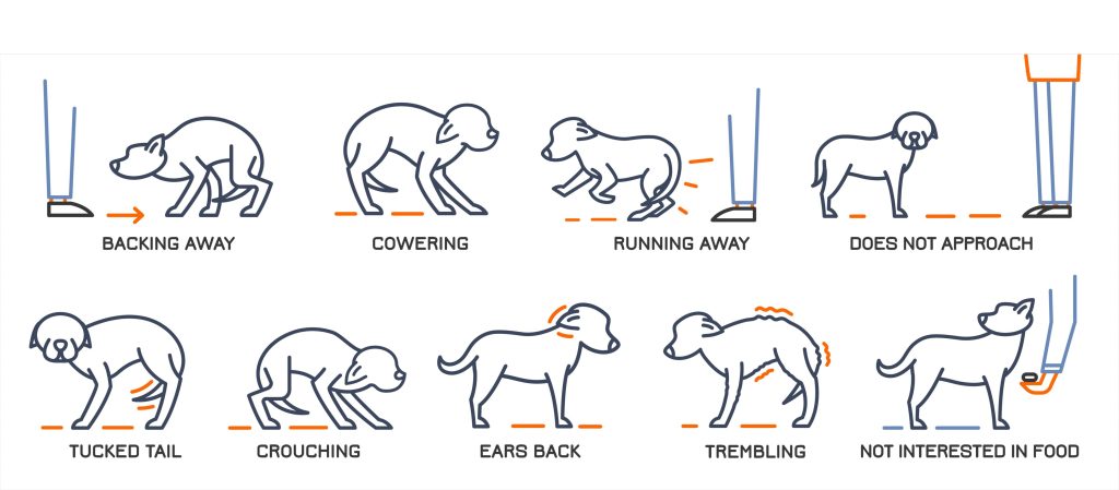 Help for Reactive Dogs