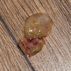 Cat sick, bile with blood. Your cat should be seen by a vet.