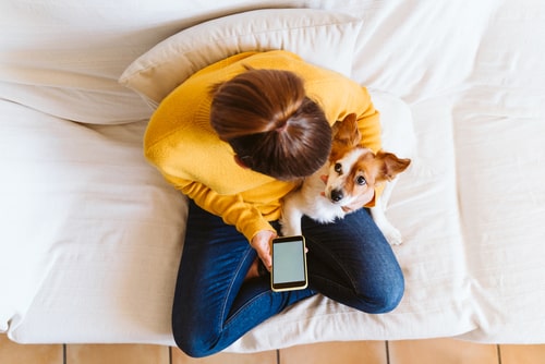 The real cost of vaccinating your dog!