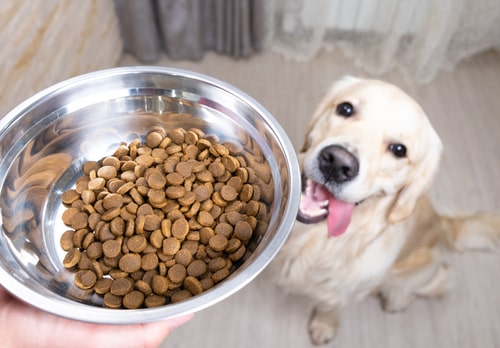 The Benefits of Mixed Feeding for Your Pets