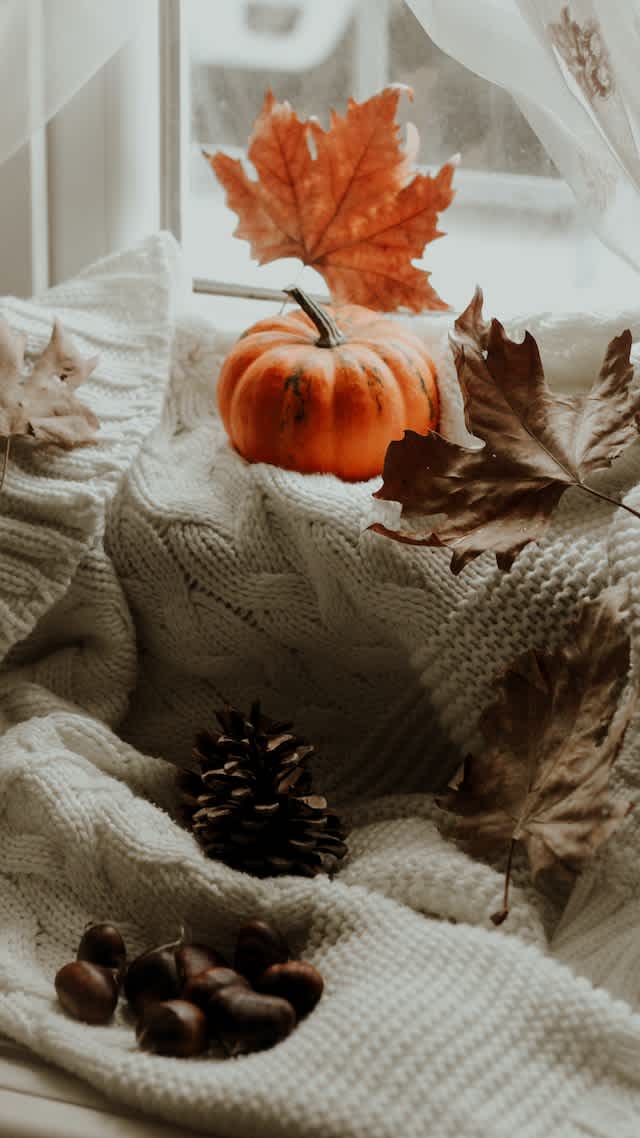Pumpkin and leaves by a window