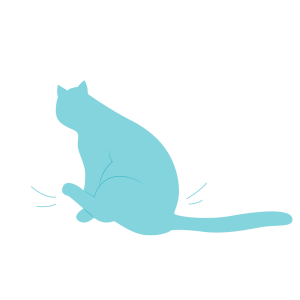 Scooting or rubbing their bottom on the floor is a common symptom of anal gland problems