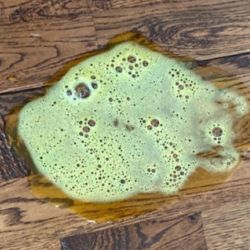 Dog-sick-yello-bile-froth