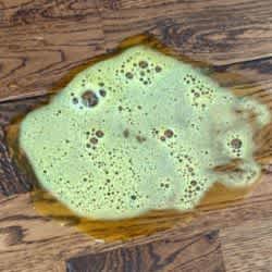 Dog-sick-yello-bile-froth