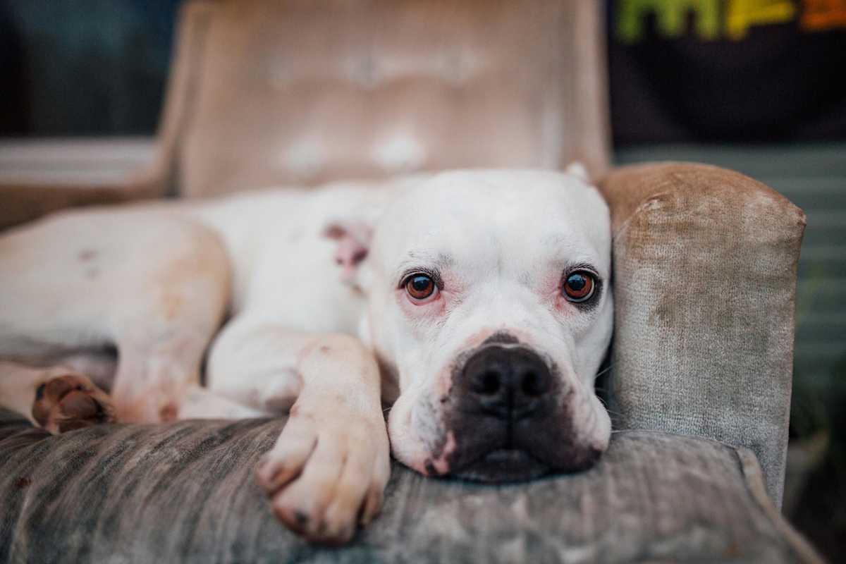 pexels-photo-5382488