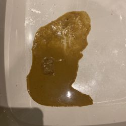 Watery diarrhoea in cats