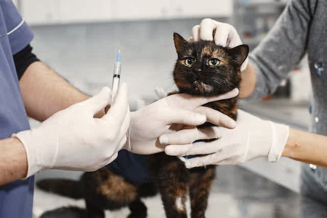 Did somebody just say, "Don't look at the needle"?
