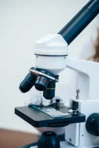 Microscope