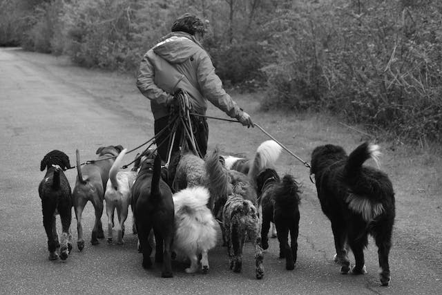 On the eighth day of Christmas