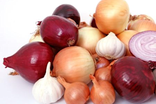 Onion