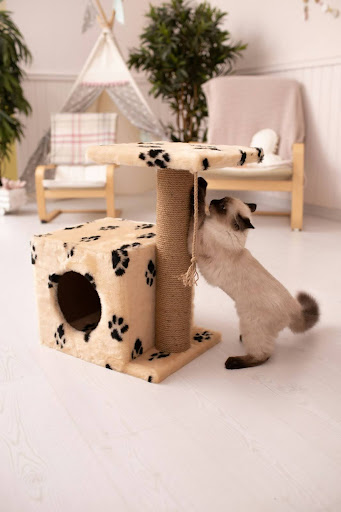 cat scratching cat tree