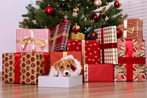 On the eleventh day of Christmas