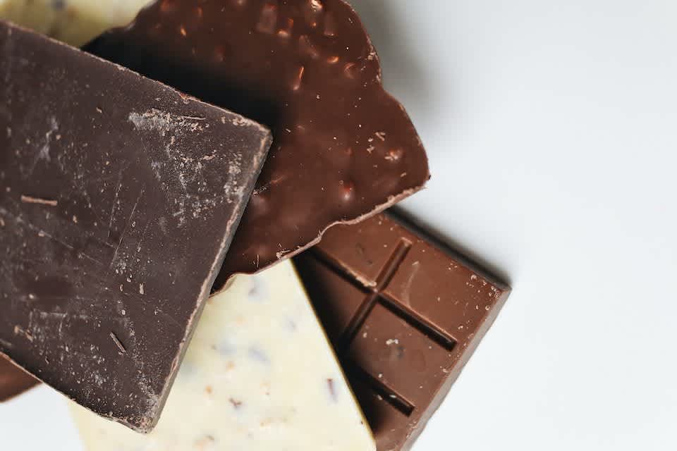 Chocolate is toxic to dogs