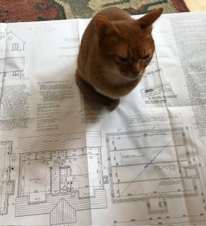 Casting an eye over the house plans
