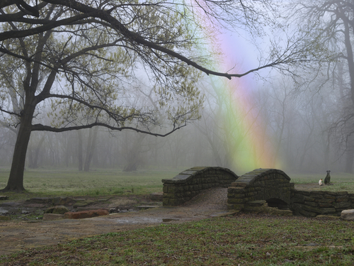 Rainnbow bridge