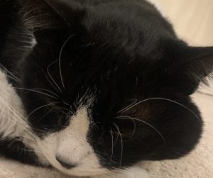 Swelling of the skin is a common symptom