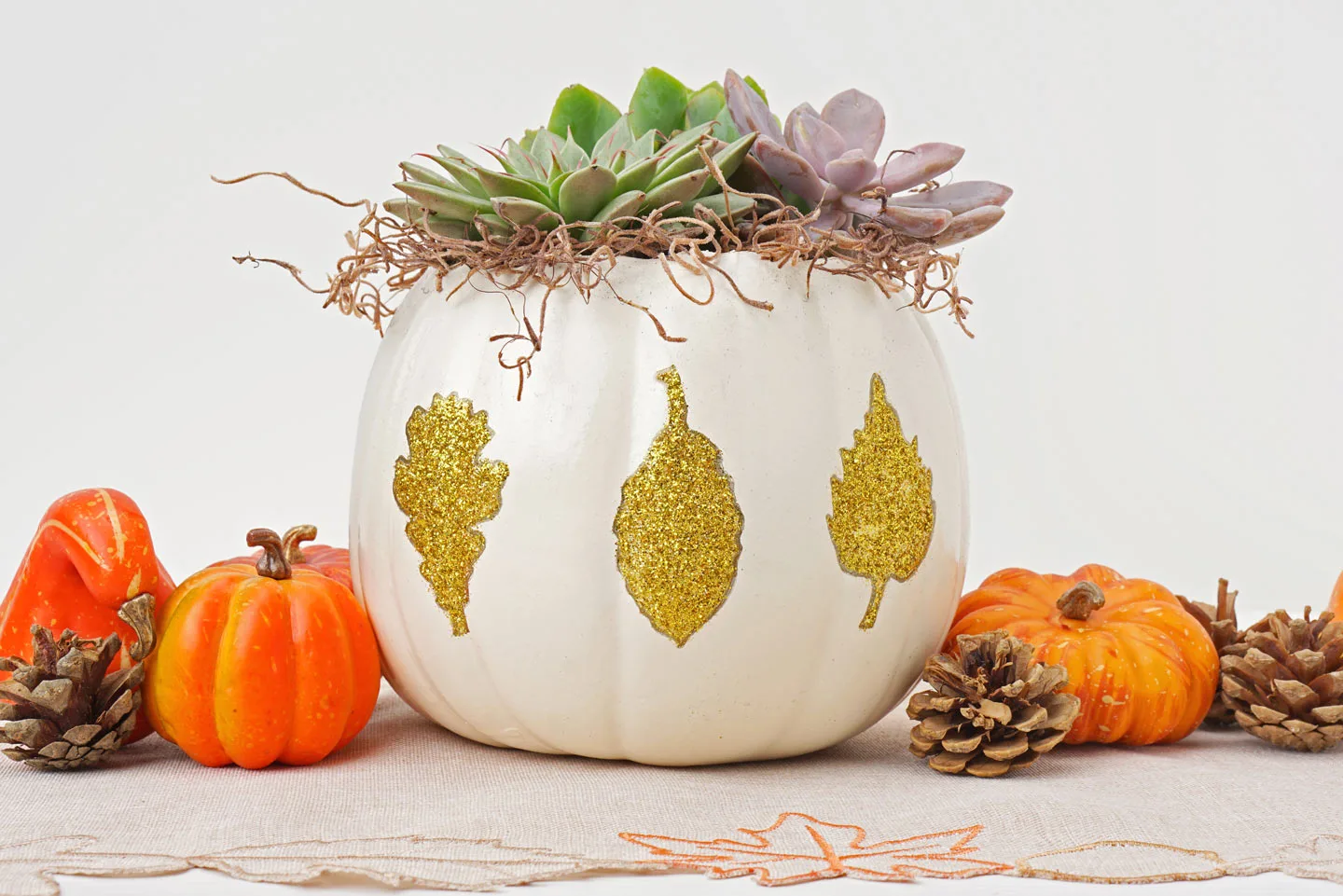 How to Make a Succulent Pumpkin Centerpiece For Your Fall Table