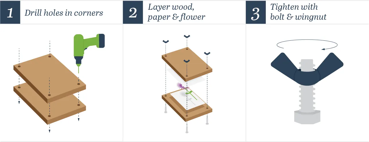 flower-press-2