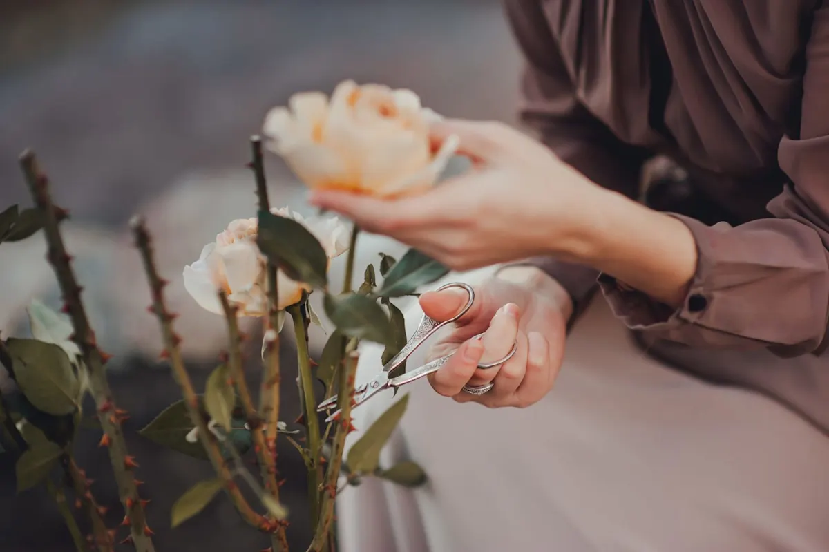 How to Keep Fresh Cut Roses Alive? ProFlowers Blog