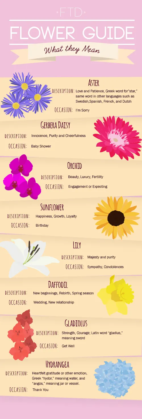 FTD Flower Guide