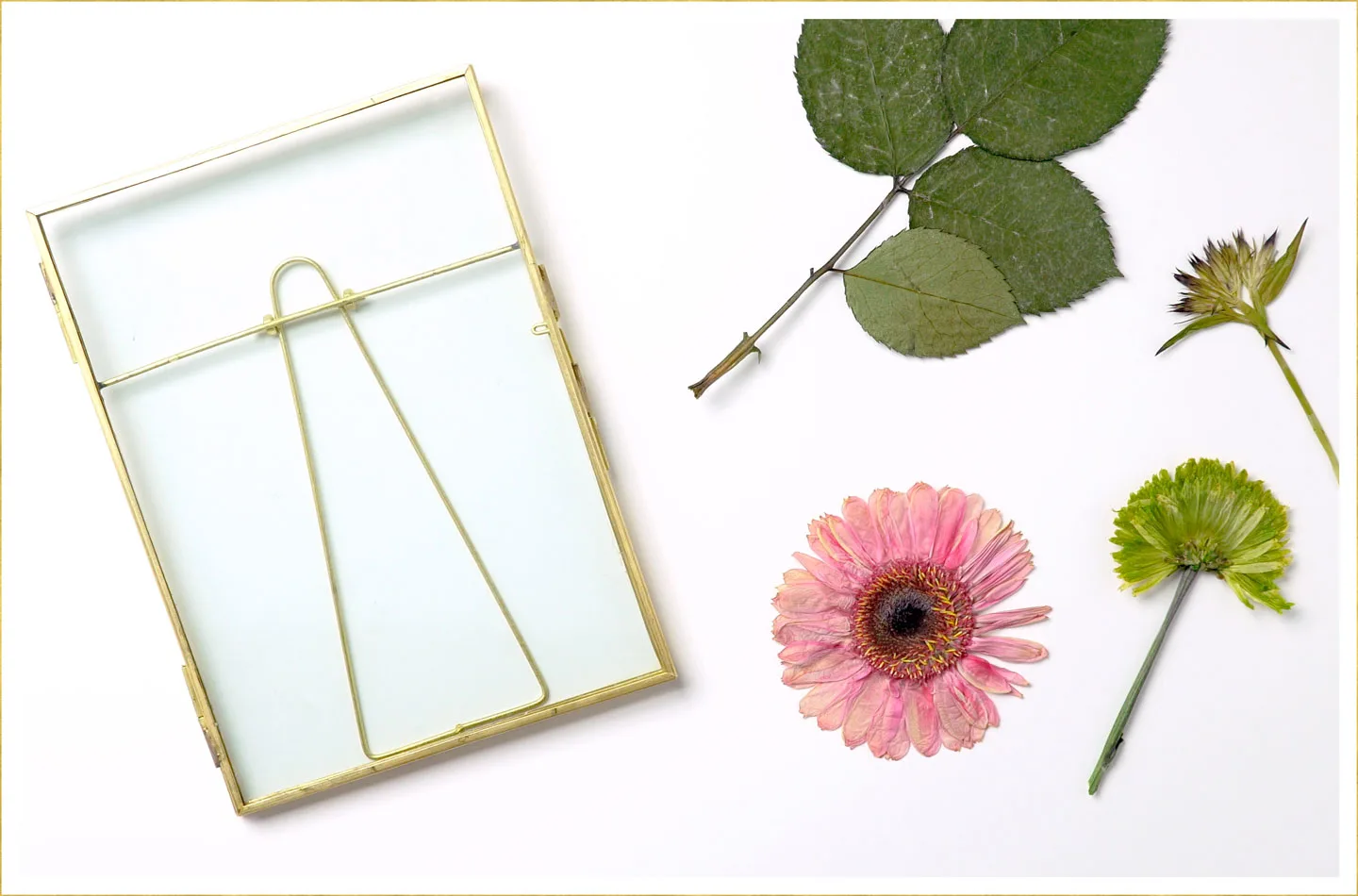 ftd-press-flowers-frame-step1