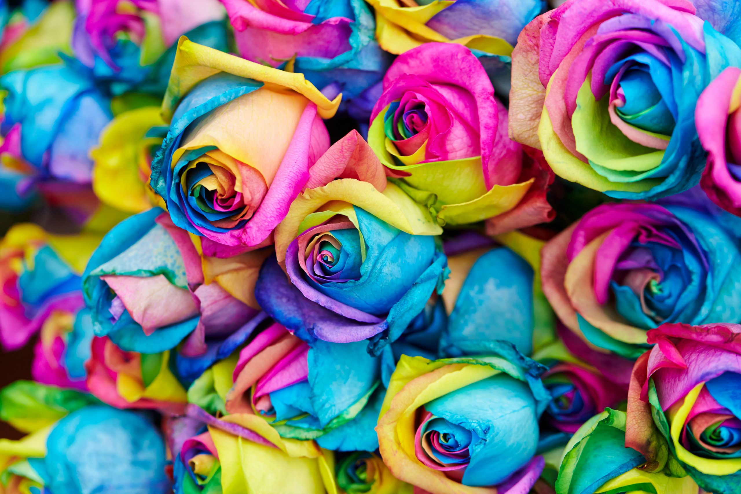 tie dye flowers