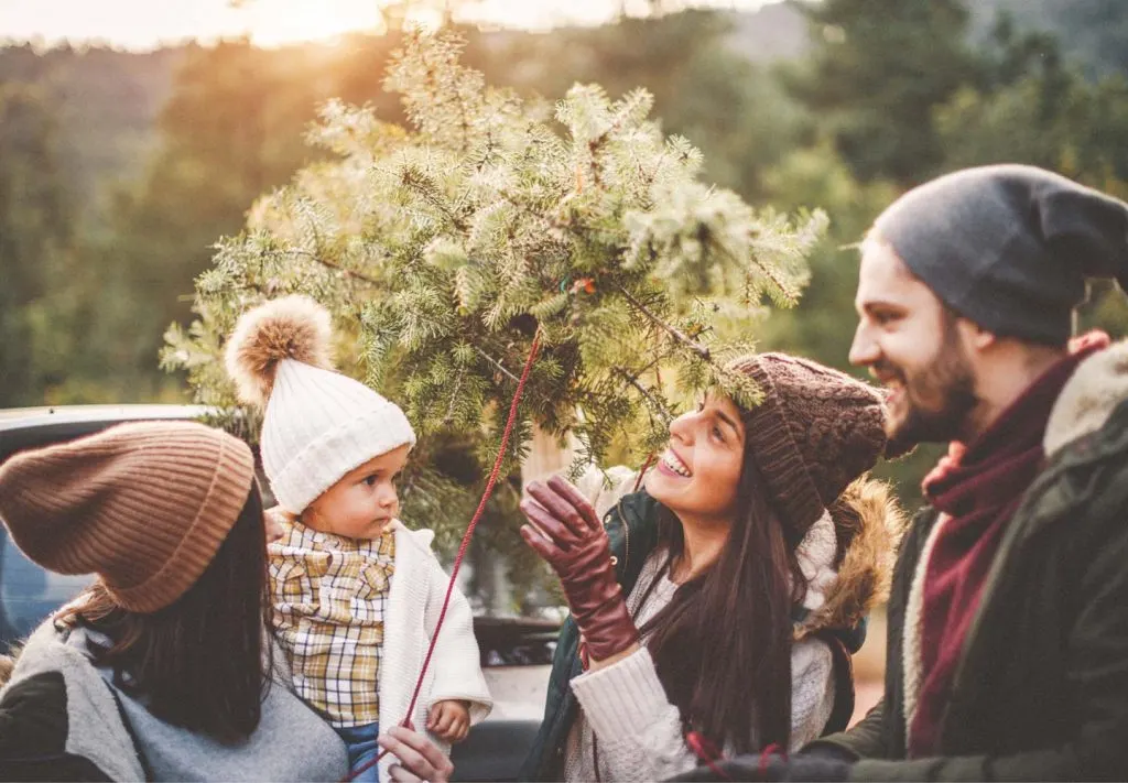 Types of Christmas trees 