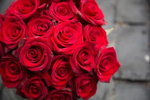 Long-Distance-Love-Red-Roses