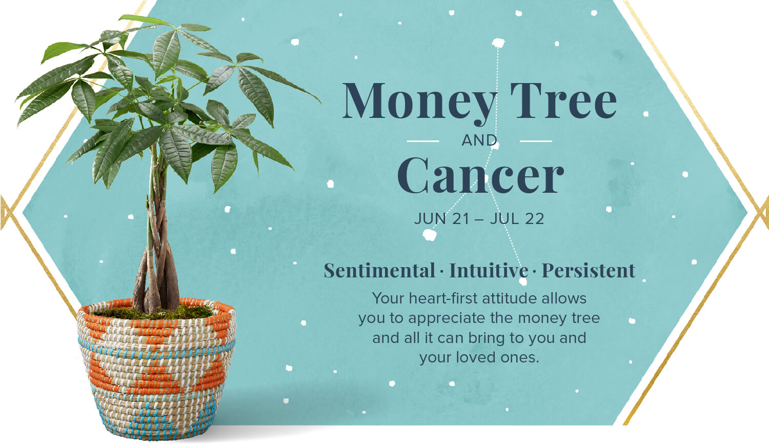 money tree and cancer zodiac plant pairing