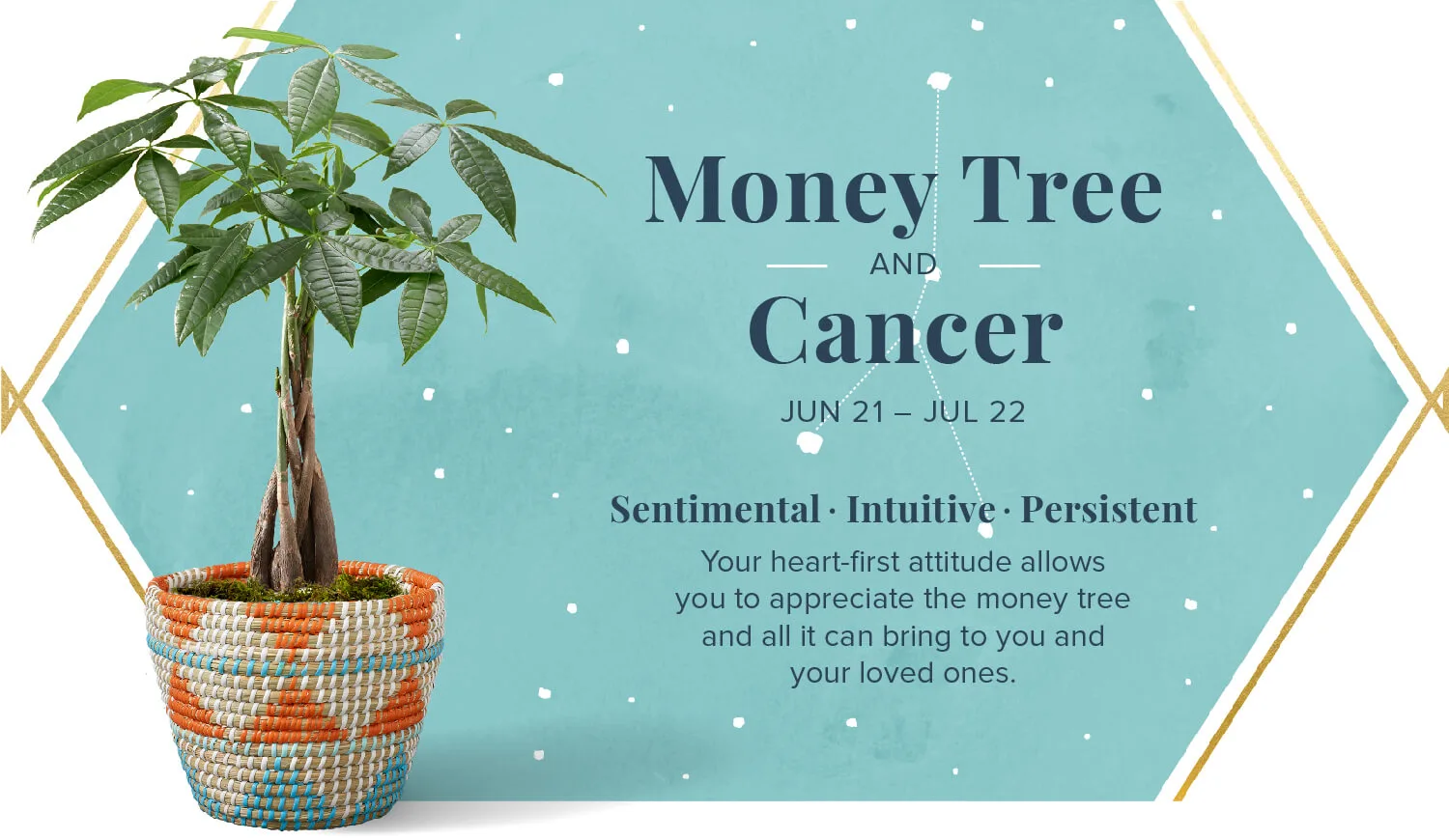 The-Perfect-Plant-For-You-According-To-Your-Zodiac-Money-Tree