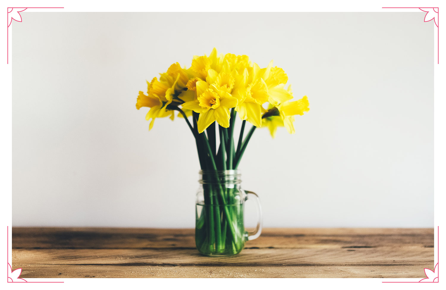 yellow daffodils
