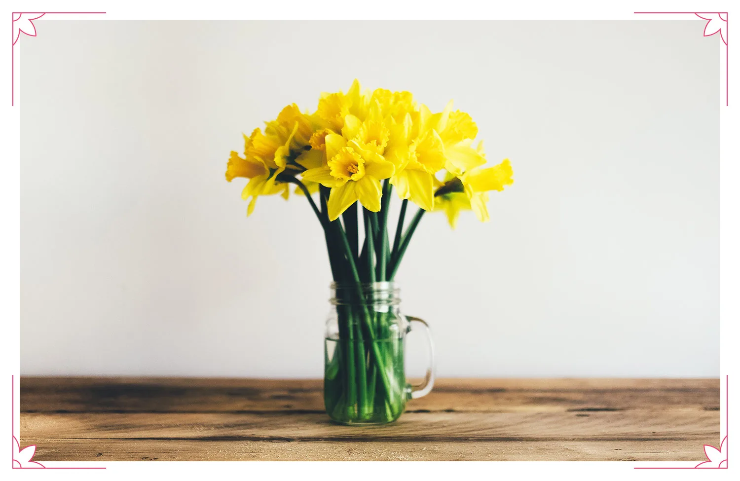 perfect-flowers-for-every-wedding-anniversary-daffodils