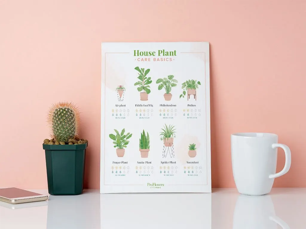 houseplant-care-printables-for-any-plant-lover-proflowers-blog