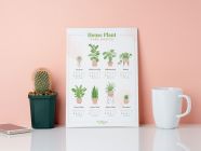 Houseplant Care Printables For Any Plant Lover ProFlowers Blog