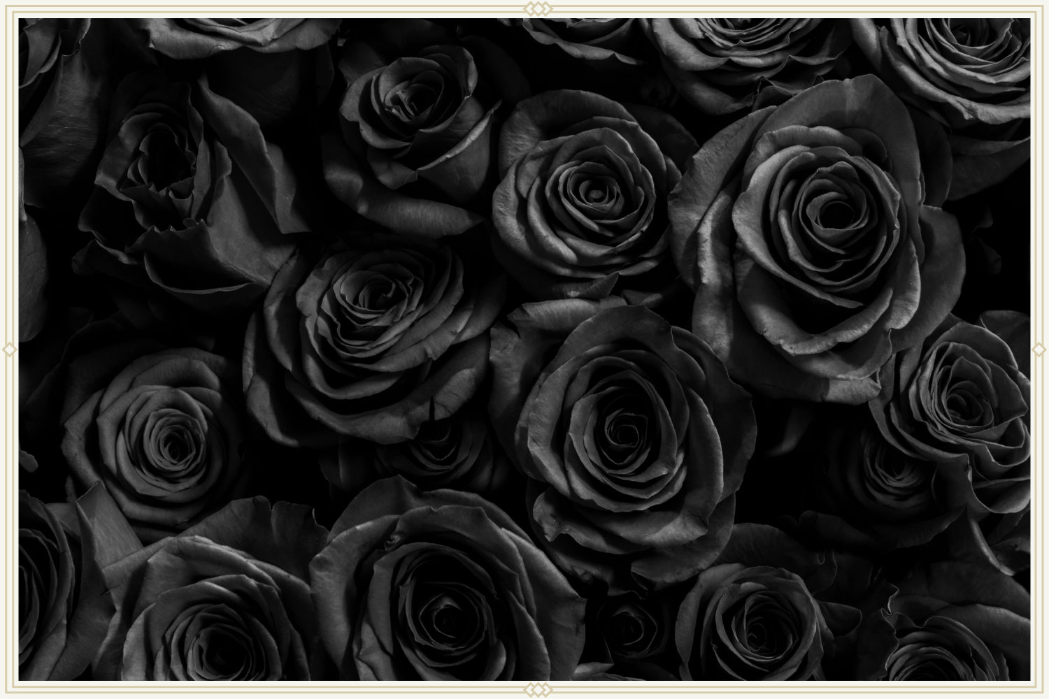 black rose art