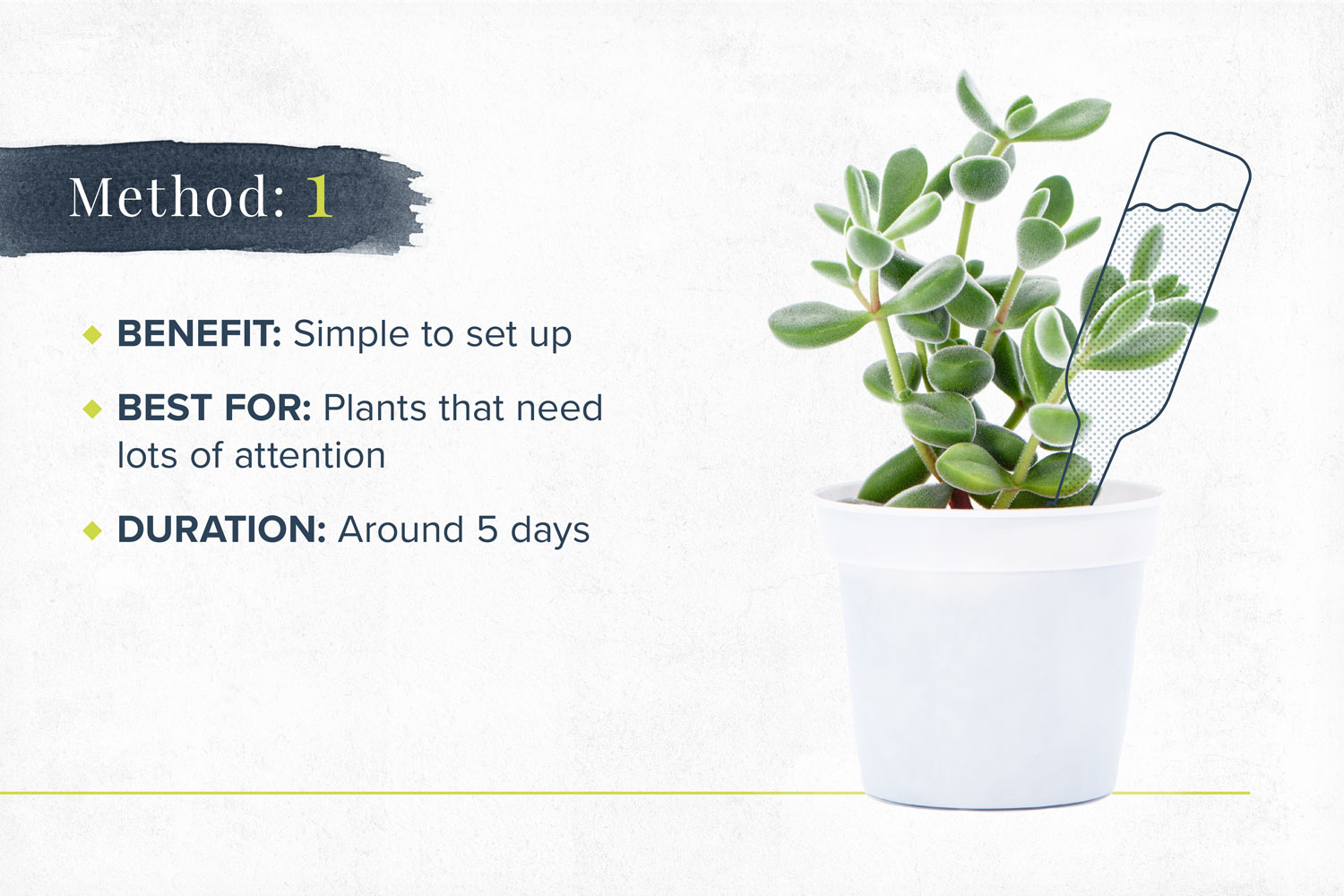 Benefits: Simple to set up Best for: Plants that need lots of attention Duration: Around 5 days