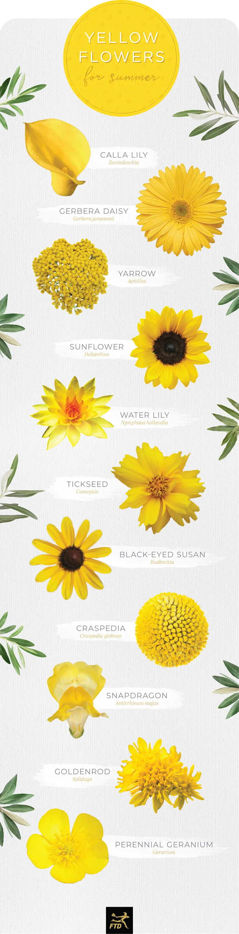 30 Types of Yellow Flowers - FTD.com