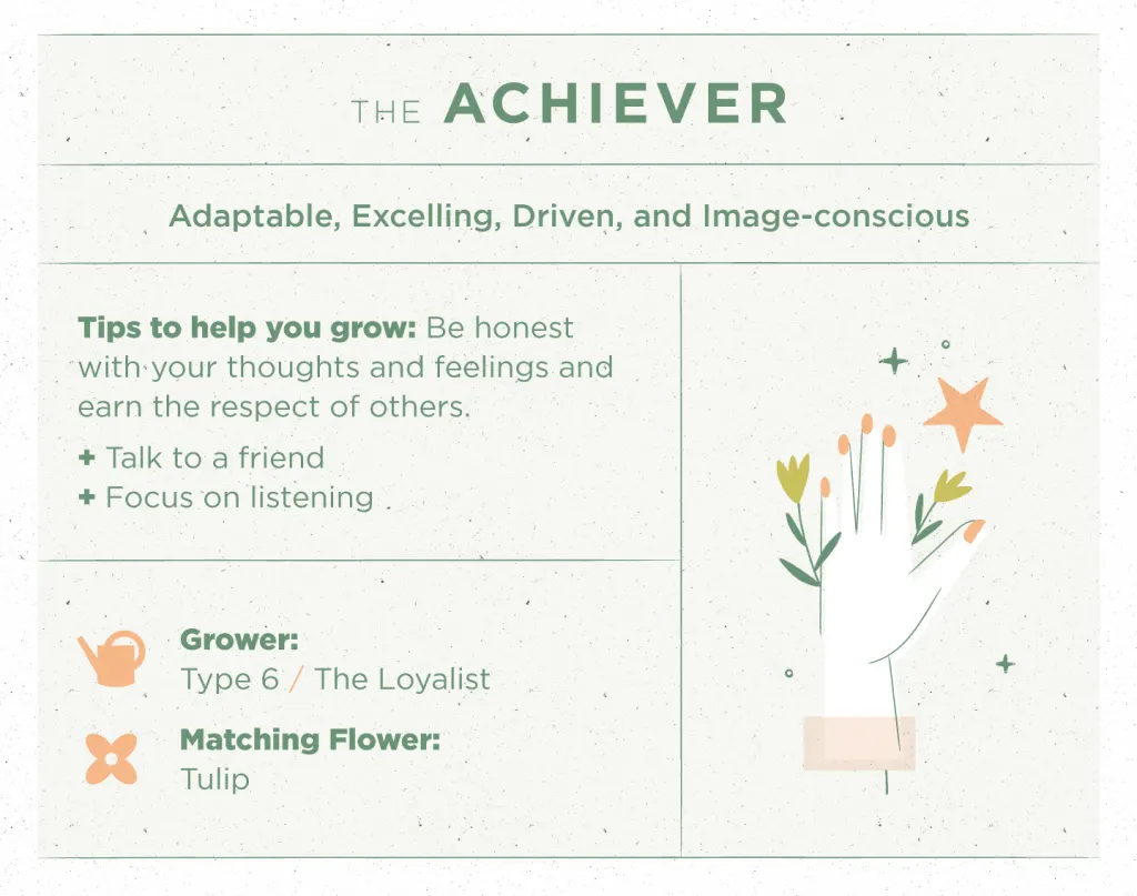 Type 3: The Achiever