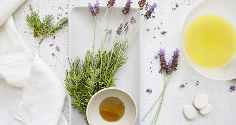 Essential Oils Guide: Benefits and Pairings