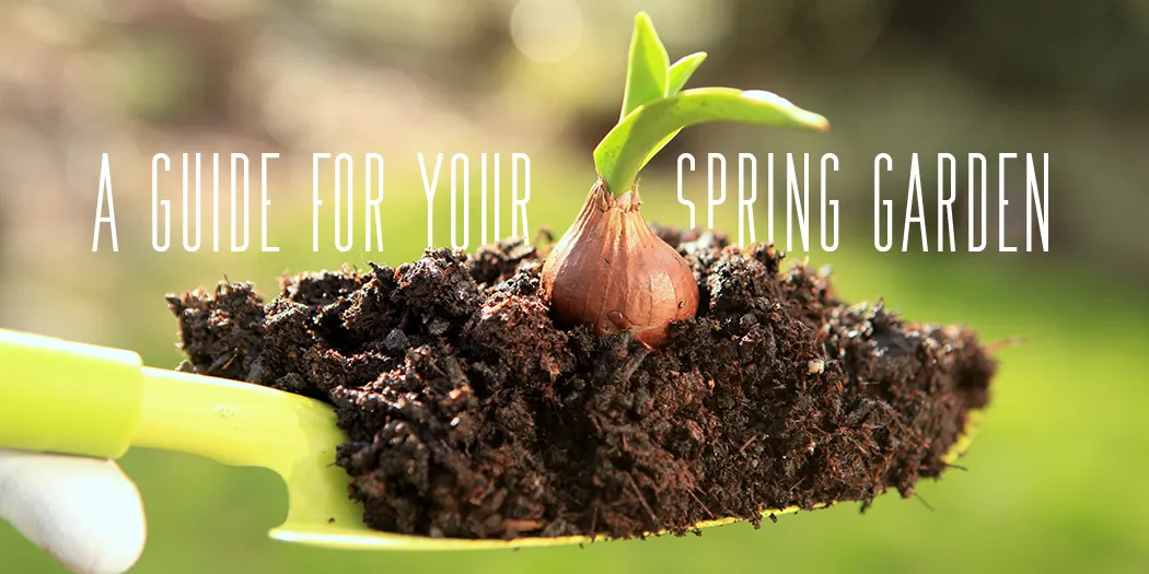 A Guide for Your Spring Garden