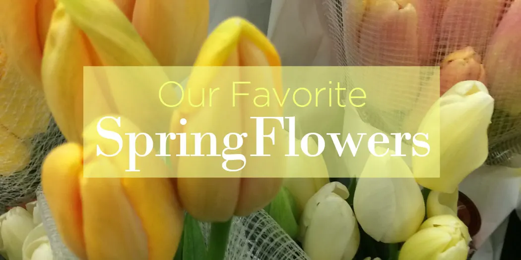 A Look at Our Favorite Spring Flowers