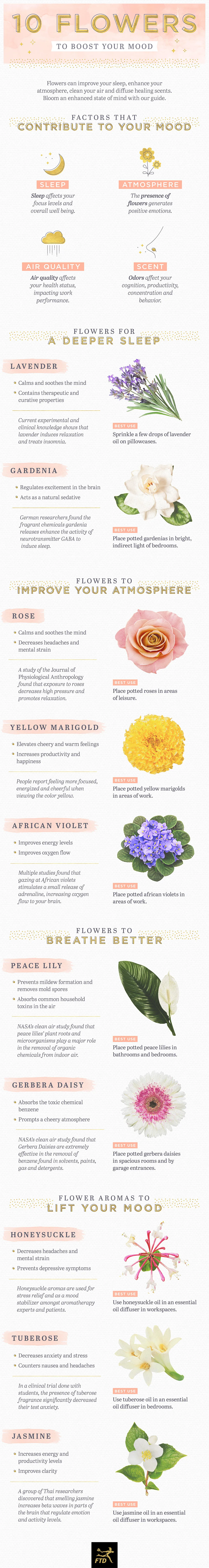 10 Flowers to Boost Your Mood + Bloom a Smile