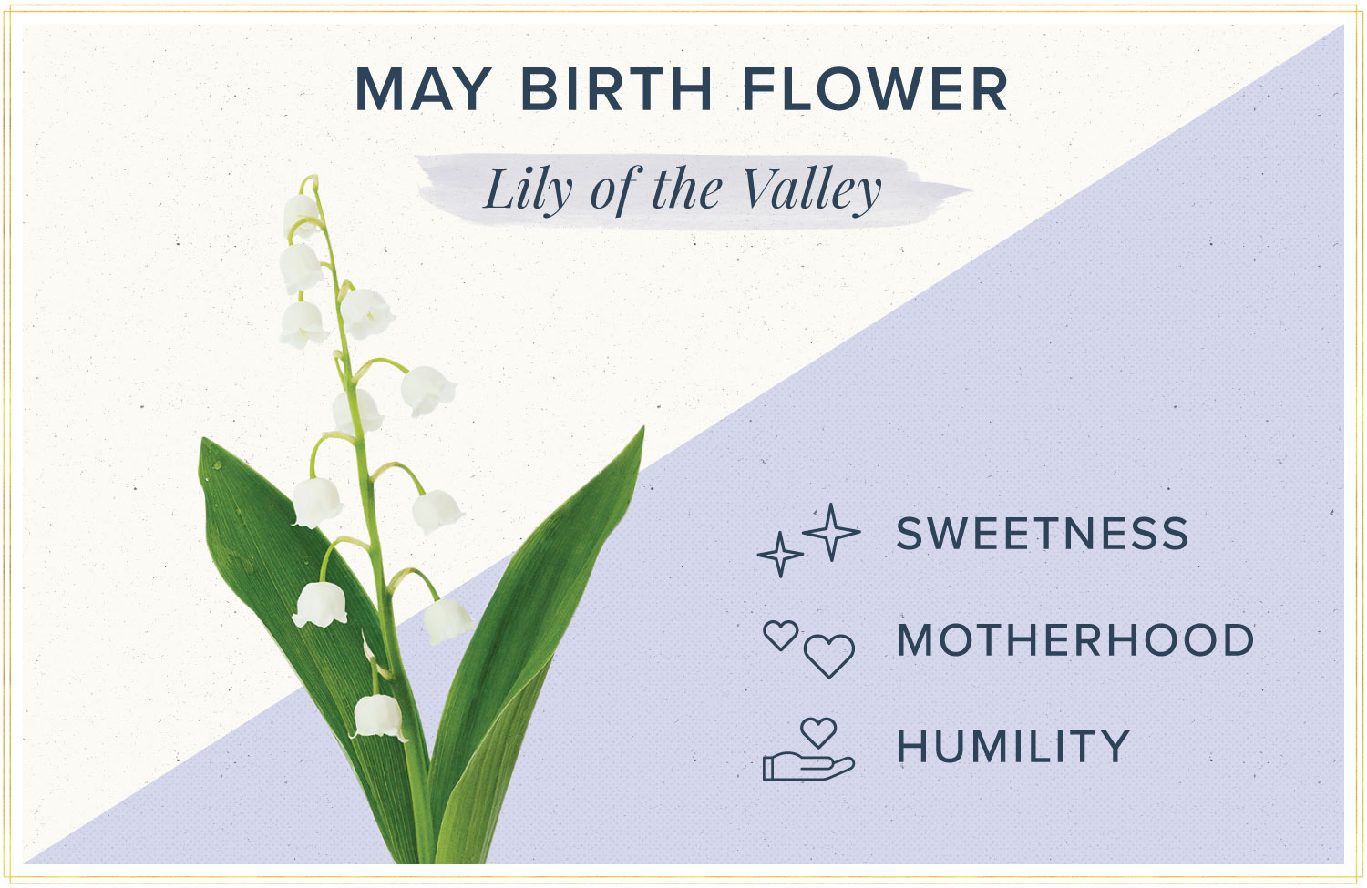 May birth month flower meaning lily of the valley