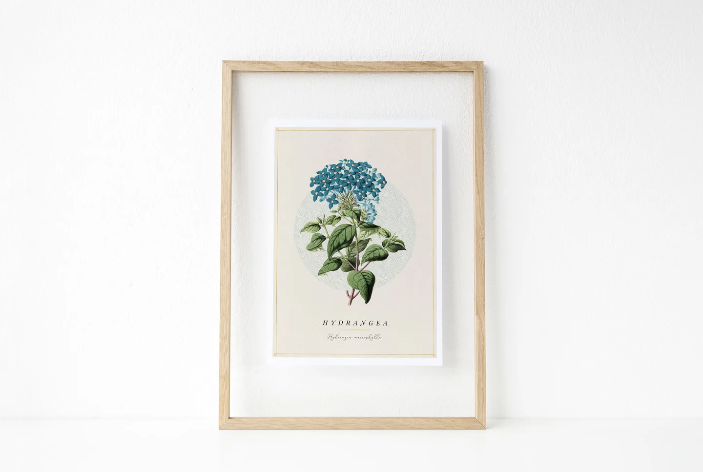 botanical-print-hydrangea