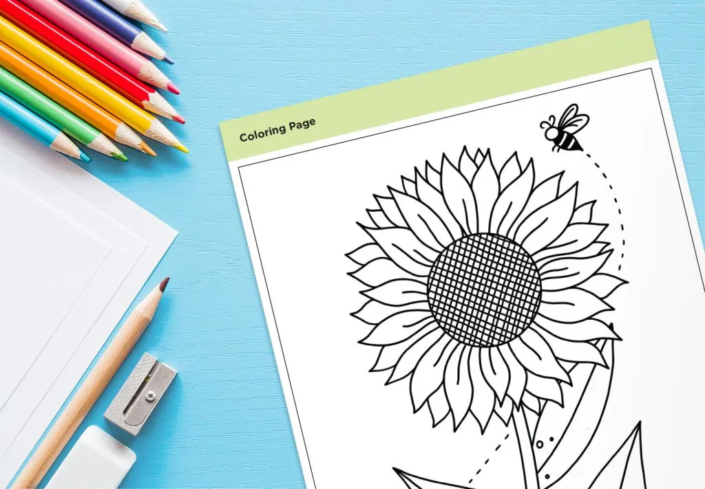 Fun Flower Coloring Pages