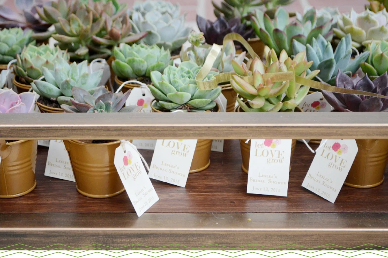 mini-succulents-party-favors