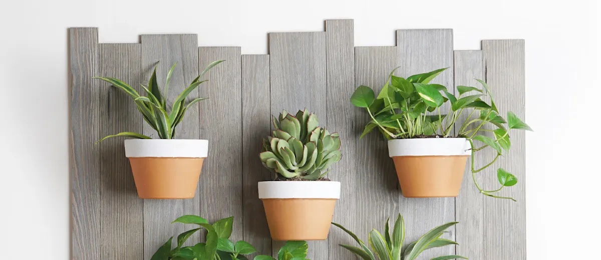 Diy Vertical Garden For Your Home 